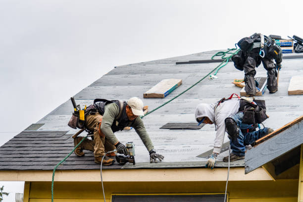 Professional Gutter Installation technician working in Des Plaines, IL